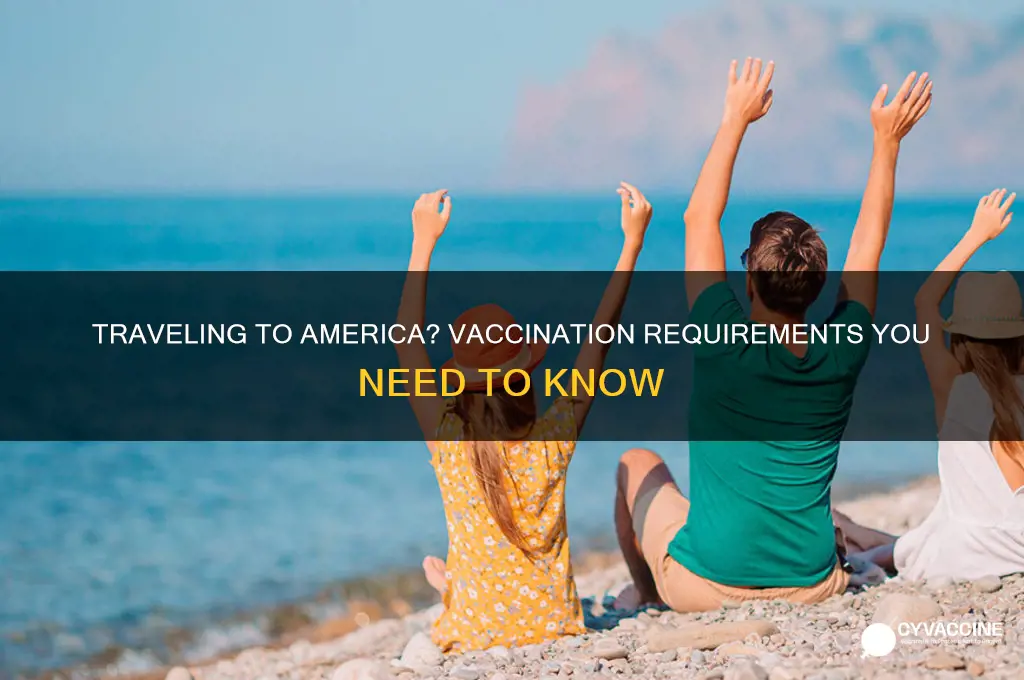 do you have to be vaccinated to come to america
