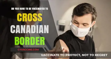 Vaccination Requirements for Crossing the Canadian Border