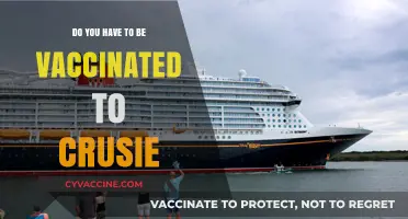 Cruising Soon? Vaccination Requirements You Need to Know