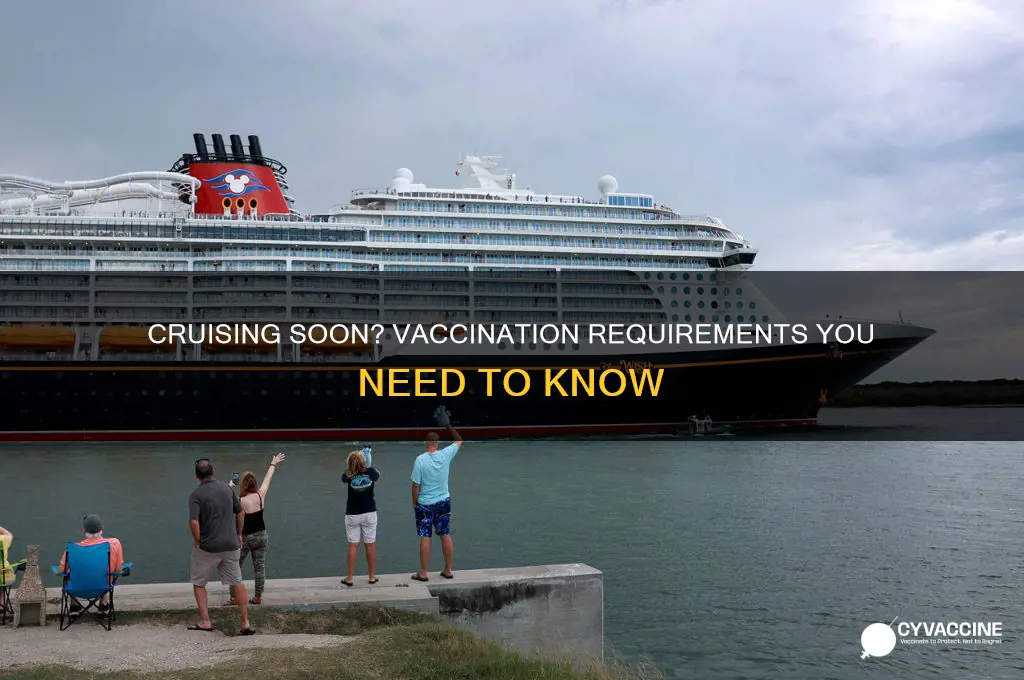 do you have to be vaccinated to crusie