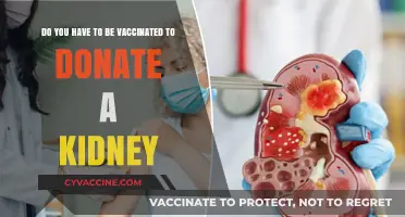Kidney Donation: Vaccination Requirements and Considerations