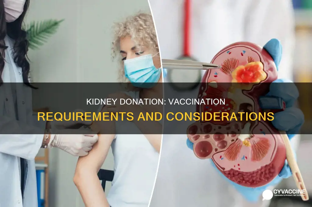 do you have to be vaccinated to donate a kidney
