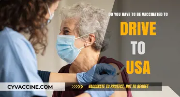 Vaccination Requirements for Driving into the USA