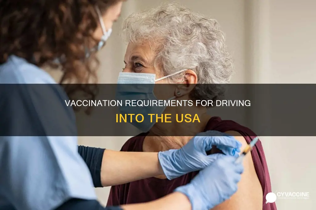 do you have to be vaccinated to drive to usa