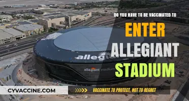 Vaccination Status: Allegiant Stadium Entry Requirements