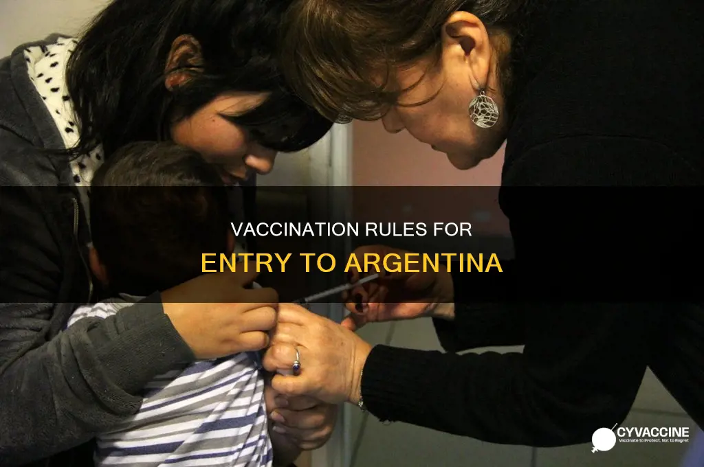 do you have to be vaccinated to enter argentina