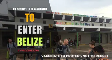 Belize's Entry Requirements: Vaccination Status and More