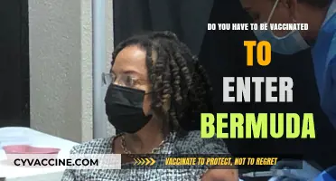 Vaccination Requirements for Travelers Visiting Bermuda