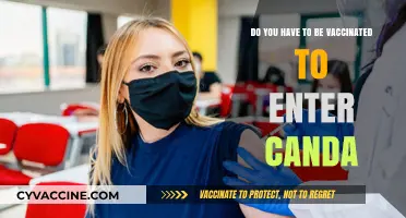 Vaccination Requirements for Entry into Canada