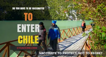 Traveling to Chile? Vaccine Requirements for Entry