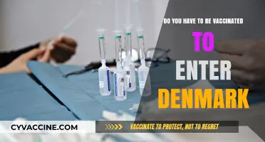 Traveling to Denmark? Vaccination Requirements Explained