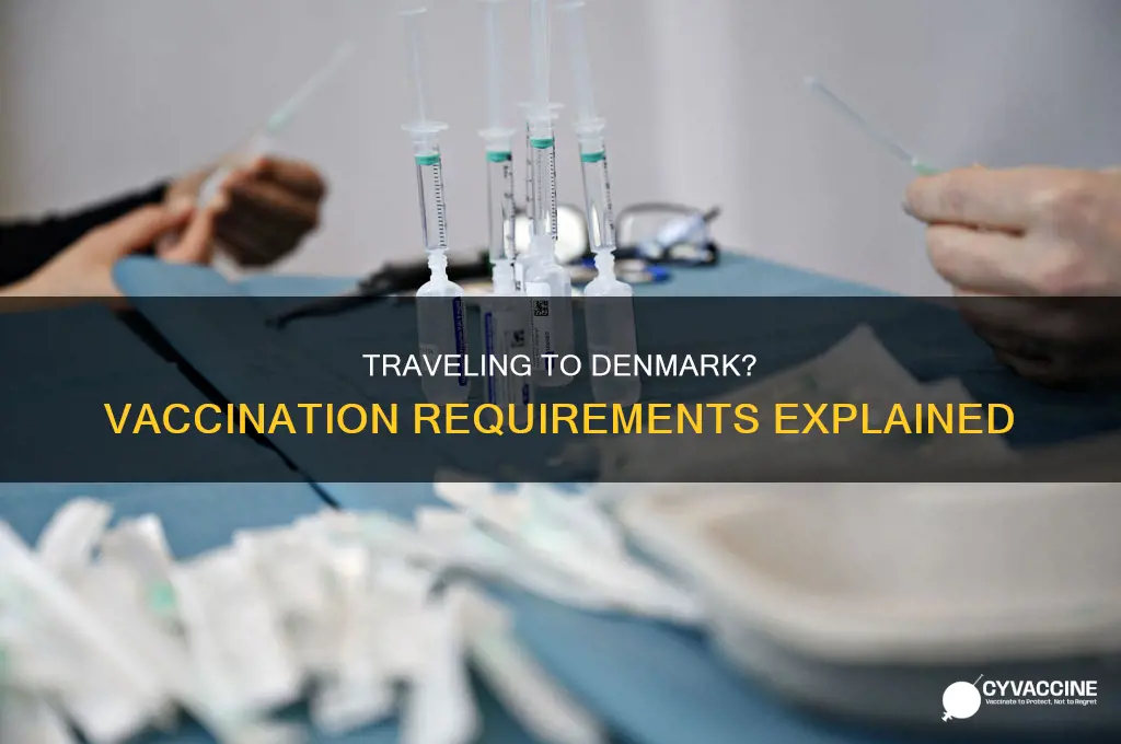 do you have to be vaccinated to enter denmark