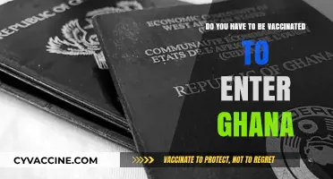Ghana's Entry Requirements: Vaccination Status and Testing