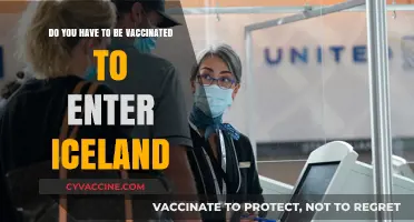 Iceland Entry: Vaccination Requirements and Rules