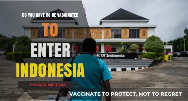 Vaccination Requirements for Entry into Indonesia