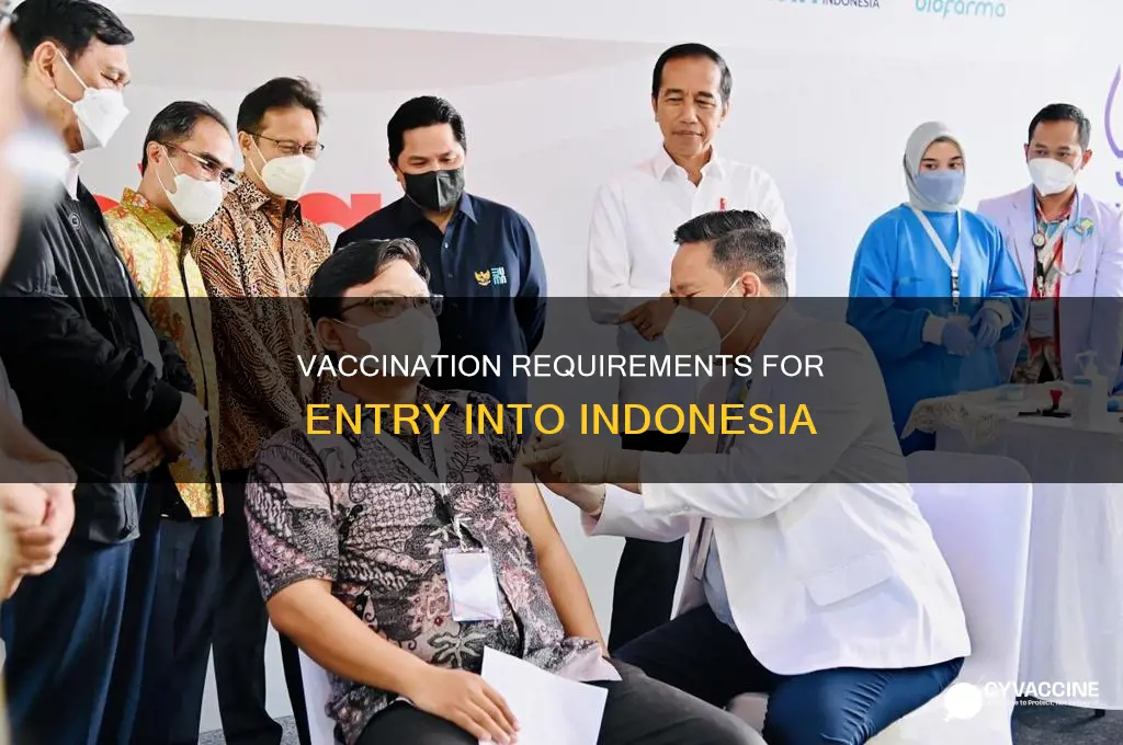 do you have to be vaccinated to enter indonesia