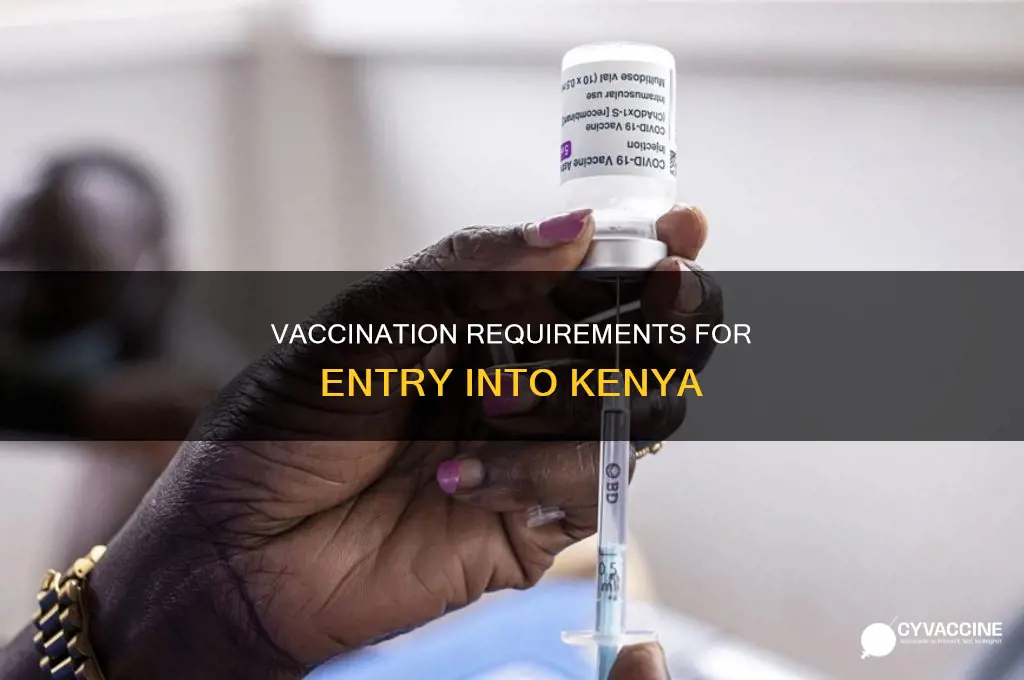 do you have to be vaccinated to enter kenya
