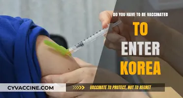 Traveling to Korea? Vaccination Requirements You Need to Know
