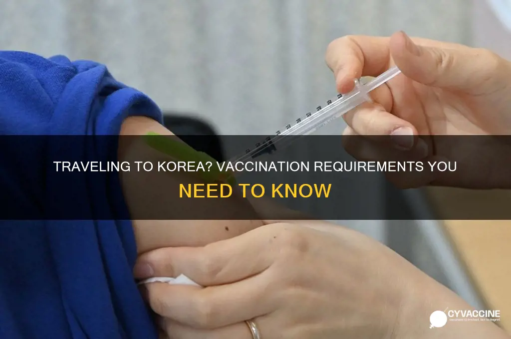 do you have to be vaccinated to enter korea