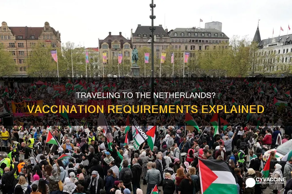 do you have to be vaccinated to enter netherlands