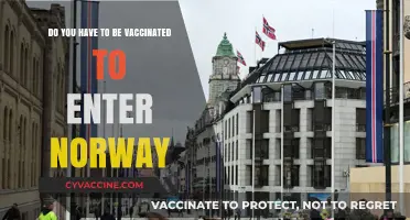 Traveling to Norway? Vaccination Requirements Explained
