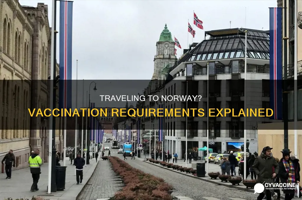 do you have to be vaccinated to enter norway