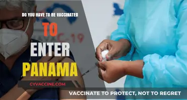 Traveling to Panama? Vaccine Requirements and Entry Rules