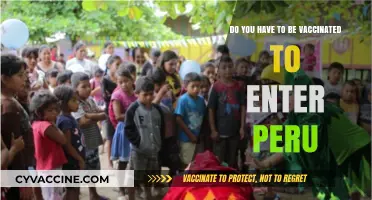 Vaccination Requirements for Entry into Peru