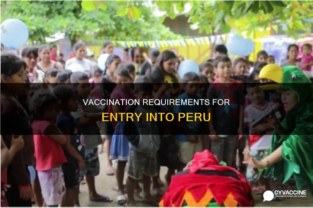 do you have to be vaccinated to enter peru