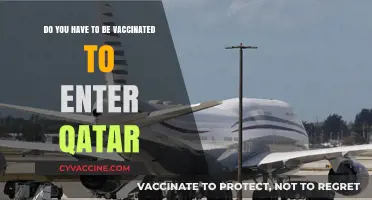 Vaccination Requirements for Entry into Qatar