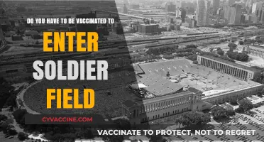 Soldier Field Access: Vaccination Requirements Explained