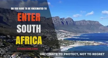 Traveling to South Africa? Vaccination Requirements Explained