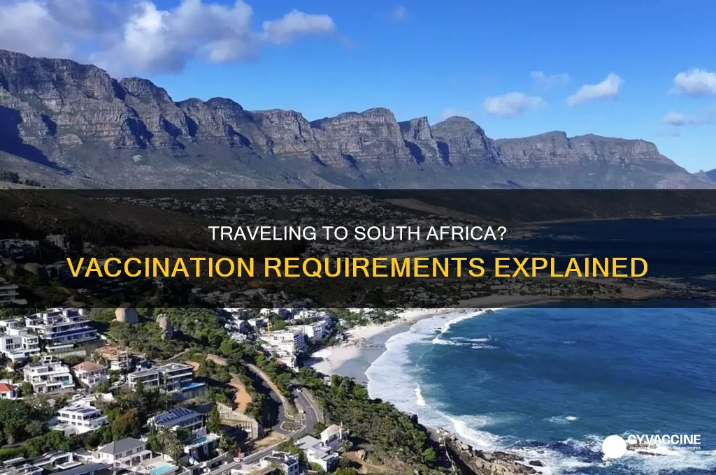do you have to be vaccinated to enter south africa