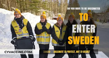 Traveling to Sweden? Vaccination Requirements Explained