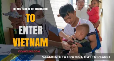 Traveling to Vietnam? Vaccination Requirements You Need to Know