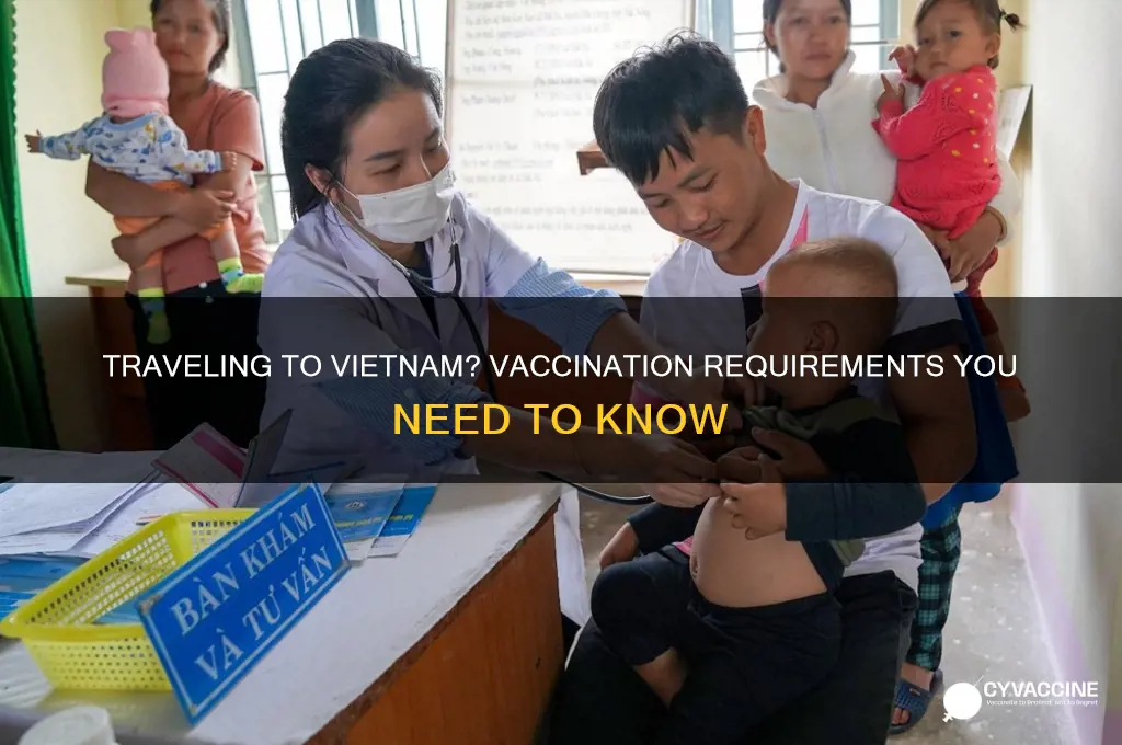 do you have to be vaccinated to enter vietnam
