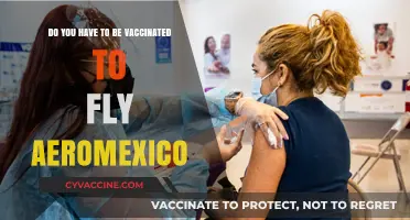 Flying Aeromexico: Vaccination Requirements and Rules