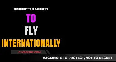 Vaccination Requirements for International Flights: What You Need to Know
