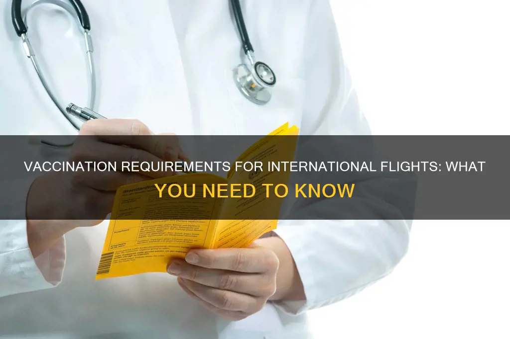 do you have to be vaccinated to fly internationally