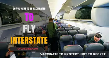 Interstate Travel: Vaccination Requirements for Flying