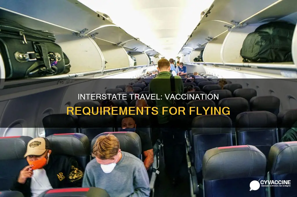 do you have to be vaccinated to fly interstate