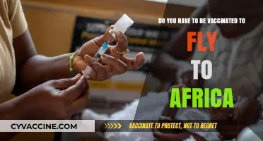 Vaccination Requirements for Flying to Africa: What You Need to Know