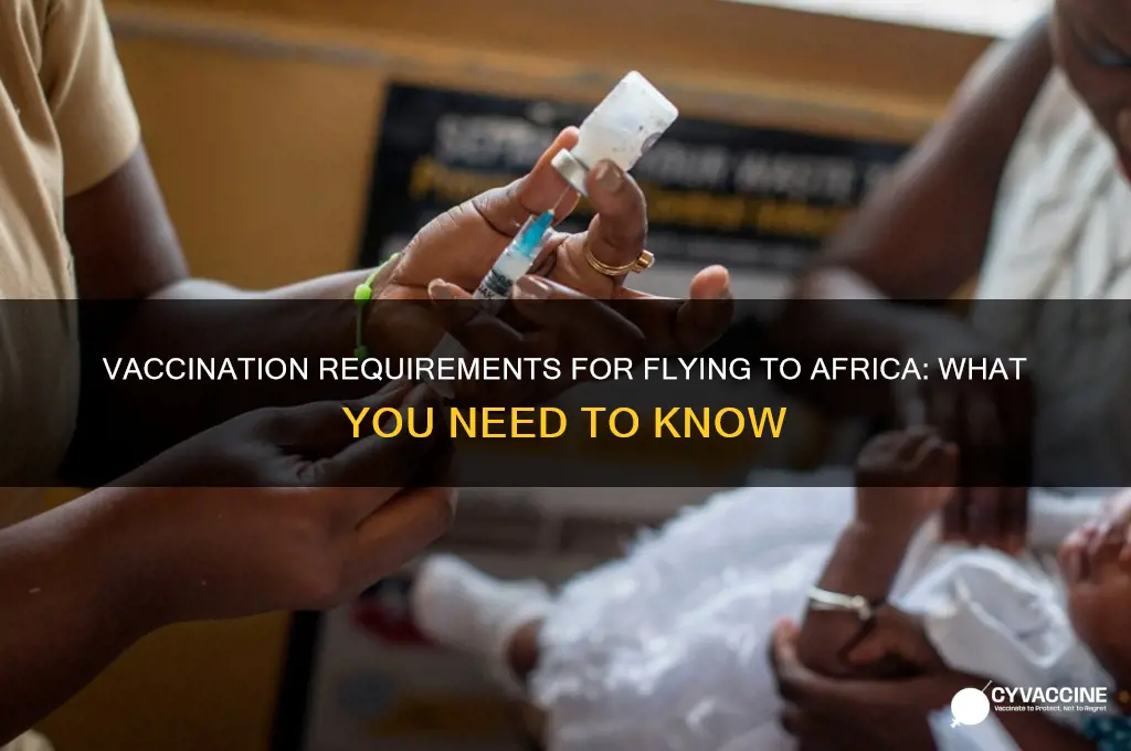 do you have to be vaccinated to fly to africa