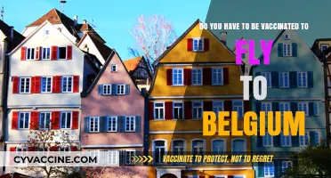 Traveling to Belgium? Vaccination Requirements for Entry