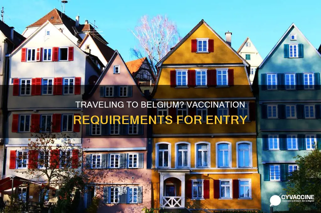 do you have to be vaccinated to fly to belgium