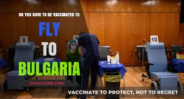 Vaccination Requirements for Flying to Bulgaria