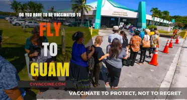 Vaccination Requirements for Flying to Guam