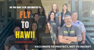 Hawaii Travel: Vaccine Requirements for Flying In