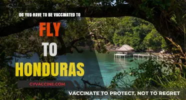Vaccination Requirements for Flying to Honduras