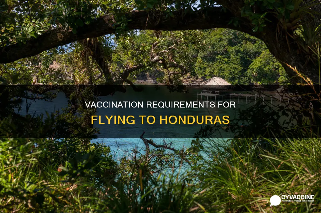 do you have to be vaccinated to fly to honduras